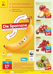Äpfel im Netto Marken-Discount Prospekt in Bautzen Aktueller Netto Marken-Discount Prospekt mit Äpfel, "Aktuelle Angebote", Seite 14