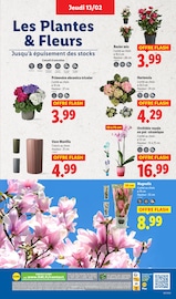 Promo Décoration Intérieure dans le catalogue Lidl du moment à la page 37