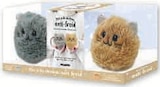 Promo Coffret mes jolis chatons anti-froid à 16,99 € dans le catalogue Super U à Saint-Loubès