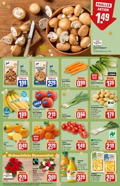 Pflanzen im REWE Prospekt in Göppingen Aktueller REWE Prospekt mit Pflanzen, "Dein Markt", Seite 10