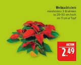 Weihnachtsstern Angebote bei Marktkauf Görlitz für 2,49 €