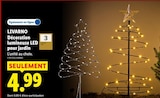 Décoration lumineuse LED pour jardin - LIVARNO - Lidl à Vienne Décoration lumineuse LED pour jardin - LIVARNO en promo chez Lidl Vienne à 4,99 €