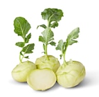 Kohlrabi  im aktuellen Penny Prospekt für 0,44 €
