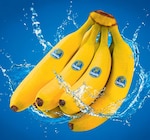 Netto Marken-Discount - Bananen Angebot im Prospekt Bananen bei Netto Marken-Discount im Prospekt "" für 1,99 €