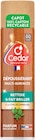 Aérosol dépoussiérant multi-surfaces parfum bois de santal - O'CEDAR - Intermarché Super à Sartrouville Aérosol dépoussiérant multi-surfaces parfum bois de santal - O'CEDAR en promo chez Intermarché Super Sartrouville à 1,84 €