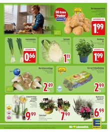 Küche im aktuellen EDEKA Prospekt (Augsburg) Küche im EDEKA Prospekt "Wir lieben Lebensmittel." mit 32 Seiten (Augsburg)