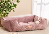 Hundebett im aktuellen Woolworth Prospekt