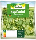 Kopfsalat von Bonduelle für 1,79 € bei REWE im Angebot Kopfsalat von Bonduelle im aktuellen REWE Prospekt