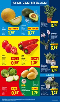 Pflanzen im Lidl Prospekt "LIDL LOHNT SICH" mit 57 Seiten (Aachen)