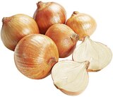 GOURMET SPEISEZWIEBELN Angebote bei REWE Köln für 0,79 €