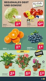 Blaubeeren Angebote im Prospekt "Günstig. Besser. Für Dich." von Netto mit dem Scottie auf Seite 3