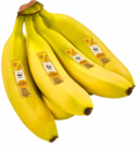 Bananen Angebote von Netto bei Netto Marken-Discount Moers für 1,00 €