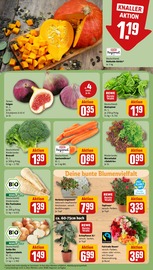 Garten im REWE Prospekt in Kassel Aktueller REWE Prospekt mit Garten, "Dein Markt", Seite 11