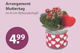 Arrangement Muttertag von  im aktuellen V-Markt Prospekt für 4,99 €