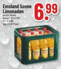 Trinkgut Lüdinghausen - Limonaden Angebot im Prospekt Limonaden bei Trinkgut im Lüdinghausen Prospekt für 6,99 €