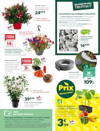 Prix et réduction Pétunia dans le prospectus Truffaut en cours Offre Pétunia dans le catalogue Truffaut du moment à la page 3
