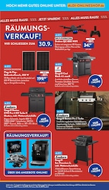 Aktueller ALDI Nord Prospekt mit Gasgrill, "Aktuelle Angebote", Seite 33