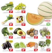 Blumenzwiebeln im Marktkauf Prospekt in Rodgau Aktueller Marktkauf Prospekt mit Blumenzwiebeln, "Aktuelle Angebote", Seite 5