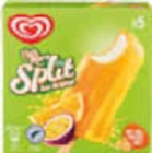 Stieleis im Angebot bei Netto Marken-Discount in Castrop-Rauxel Stieleis Angebote von Langnese bei Netto Marken-Discount Castrop-Rauxel für 1,99 €