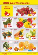 Netto Marken-Discount Prospekt "Super Wochenende", 9 Seiten, für Braunschweig, 16.01.2020 - 18.01.2020 Netto Marken-Discount Prospekt "Super Wochenende", 9 Seiten, für Braunschweig, 16.01.2020 - 18.01.2020