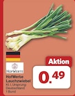 Lauchzwiebel von HofWerte für 0,49 € bei famila Nordwest im Angebot Lauchzwiebel von HofWerte im aktuellen famila Nordwest Prospekt