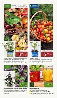 Pizza im Pflanzen Kölle Prospekt "FRÜHLINGS-FREUDE" mit 16 Seiten (Potsdam)