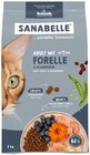 Katzentrockennahrung Forelle im Angebot bei Hagebaumarkt in Hameln Katzentrockennahrung Forelle Angebote von Sanabelle bei Hagebaumarkt Hameln für 13,99 €