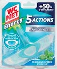 Bloc wc energy 5 actions fraîcheur givrée et menthe - WC NET en promo chez Intermarché Agen à 0,60 €