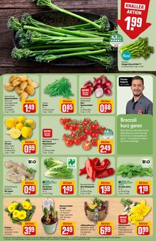 Kartoffeln im REWE Prospekt "Dein Markt" mit 44 Seiten (Kiel)