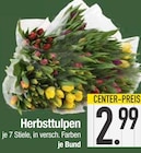 Herbsttulpen bei EDEKA im Ruhmannsfelden Prospekt für 2,99 €