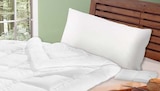 Kopfkissen Nature Cotton Angebote bei Möbel Martin Homburg für 19,99 €
