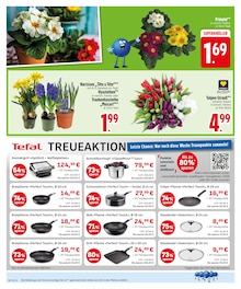 Blumen im EDEKA Prospekt "Wir lieben Lebensmittel." mit 30 Seiten (Augsburg)