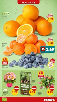 Obst im Penny Prospekt "Wer günstig will, muss Penny." mit 34 Seiten (Berlin)