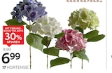 Ambia Home Hortensie Angebote bei XXXLutz Möbelhäuser Gifhorn für 6,99 €