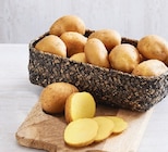 Promo Pomme de terre de consommation brossée à 2,89 € dans le catalogue Hyper U à Alès