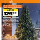 Kunsttanne Ketola XXL im OBI Prospekt zum Preis von 129,99 €