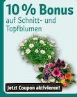Angebot im REWE Fürstenwalde (Spree) Prospekt REWE Fürstenwalde (Spree) Prospekt mit im Angebot für