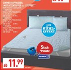 Aktuelle Kopfkissen Angebote bei Marktkauf in Duisburg Aktuelles Kopfkissen Angebot bei Marktkauf in Duisburg ab 11,99 €