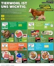 Aktueller Kaufland Prospekt mit Schweineschnitzel, "KNÜLLER", Seite 22