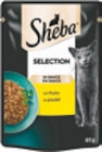 Katzenassnahrung Angebote von Sheba bei Netto mit dem Scottie Frankfurt für 0,49 €