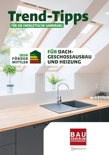 Bauzentrum Pfaffenhofen Prospekt Trend-Tipps FÜR DIE ENERGETISCHE SANIERUNG mit  Seiten