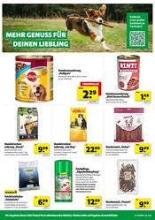 Aktueller hagebau kompakt Prospekt mit Geflügel, "GENIESSE DIE KRAFT DER SONNE.", Seite 8