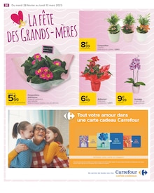 Bouquet De Fleurs Carrefour ᐅ Promos et prix dans le catalogue de la semaine
