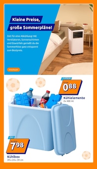 Kühlbox im Action Prospekt "Wochenangebote" mit 37 Seiten (Salzgitter)