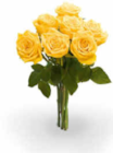 Großköpfige Hochland Rosen von  im aktuellen Netto Marken-Discount Prospekt für 4,44 €