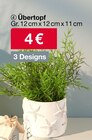 Aktuelles Übertopf Angebot bei Woolworth in Göttingen ab 4,00 €