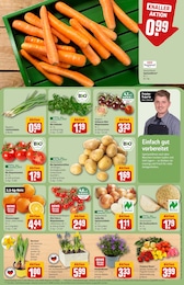 Garten Angebot im aktuellen REWE Prospekt auf Seite 7