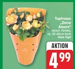 Topfrosen Dolce Amore für 4,99 € bei EDEKA im Angebot Topfrosen Dolce Amore im aktuellen EDEKA Prospekt