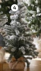 Minibaum Angebote bei XXXLutz Steinfurt für 7,99 €