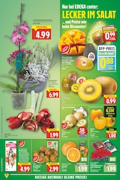 Ähnliche Bio Avocados Angebote im Prospekt "Aktuelle Angebote" von E center Ähnliches Angebot bei E center in Prospekt "Aktuelle Angebote" gefunden auf Seite 2